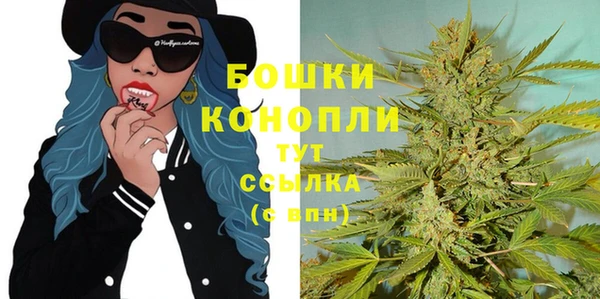 винт Белокуриха