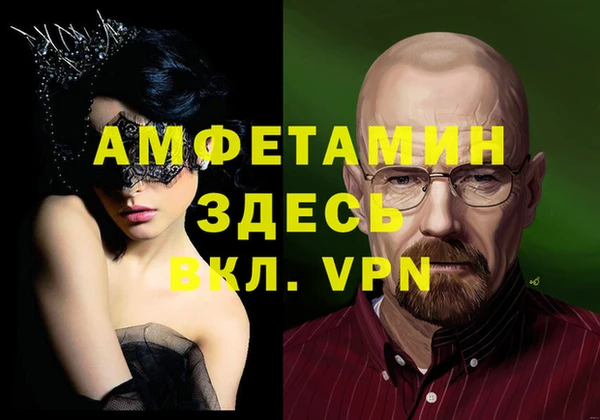 прущие грибы Беломорск